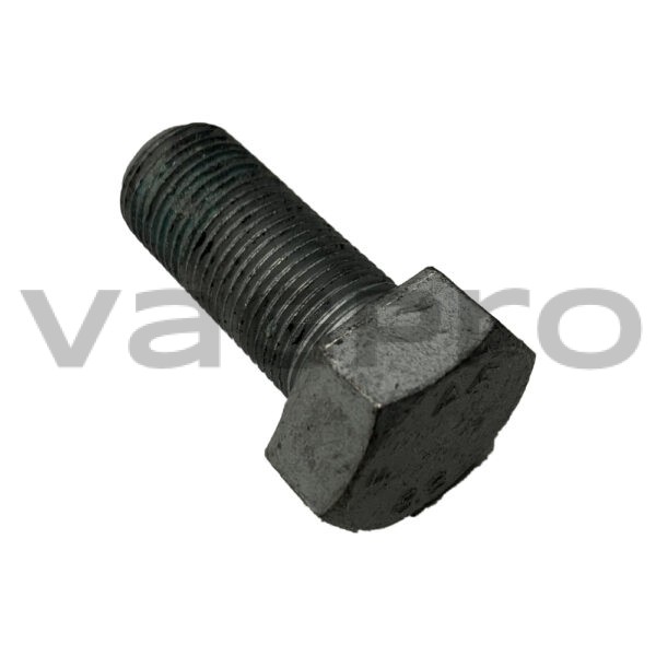 Krukasbout N0100876