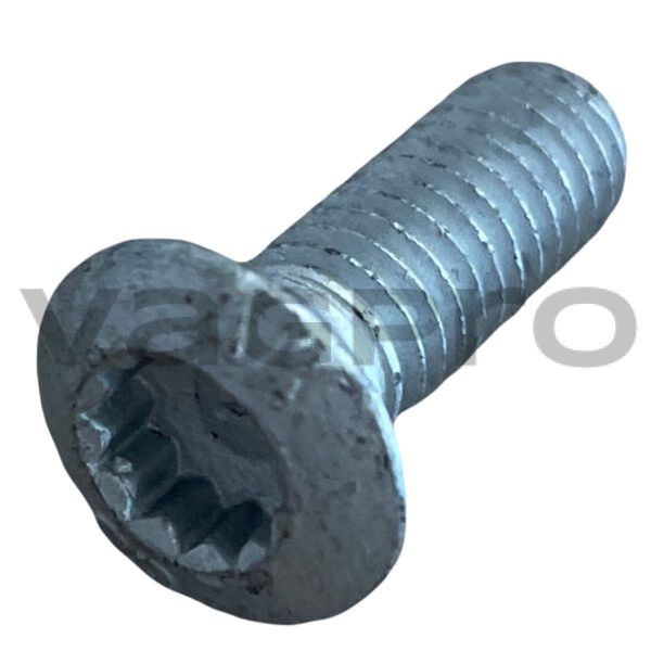 Verzonken ovale schroef – N10526802